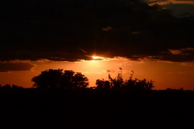 DSC_9733 (Large).JPG